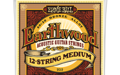 Ernie Ball Earthwood 80/20 Bronze Acoustic Twelve String Guitar Medium