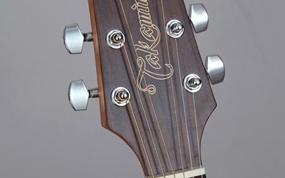 Takamine G11 Series Dreadnought Acoustic Guitar in Mahogany